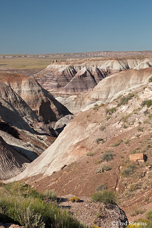 Petrified Forest National Park Blue Mesa